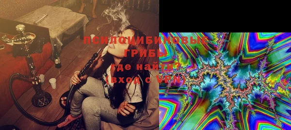 гашик Киров