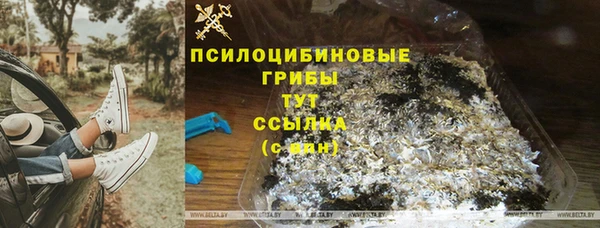 герыч Пестово