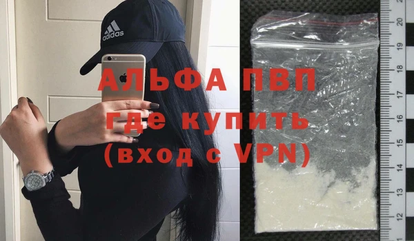 хмурый Абаза